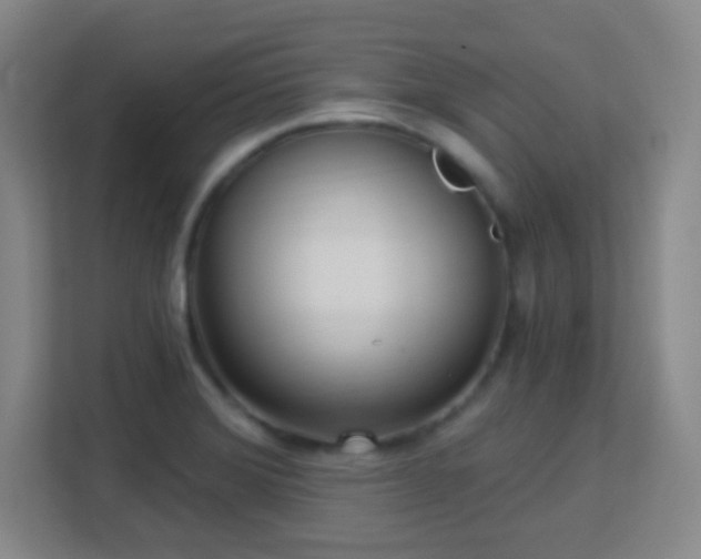 X0000113161372200909111006