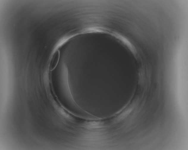 X0000113161373200909111006