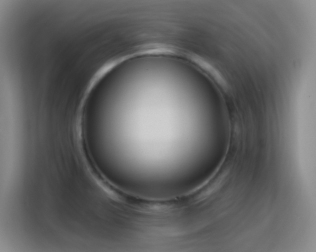 X0000113161375200909111006