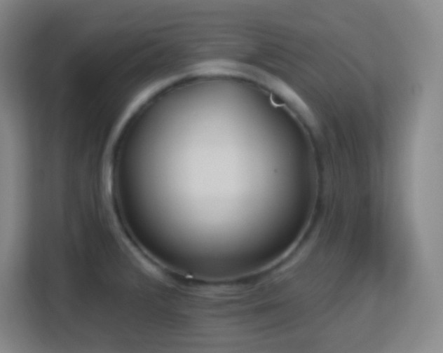 X0000113161376200909111006