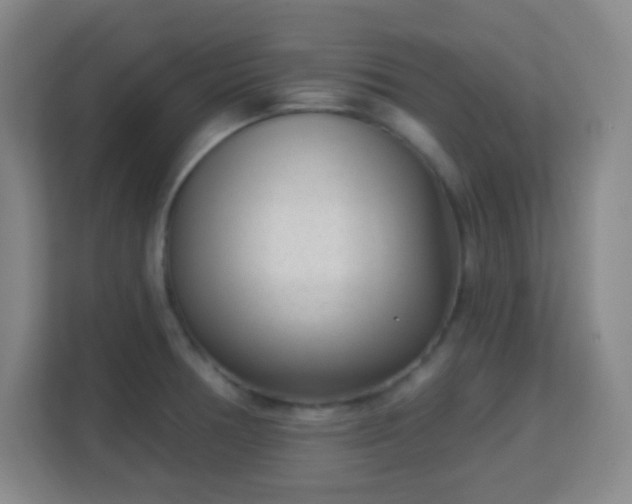 X0000113161378200909111006