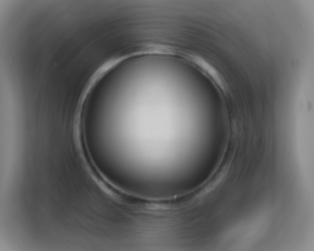 X0000113161379200909111006