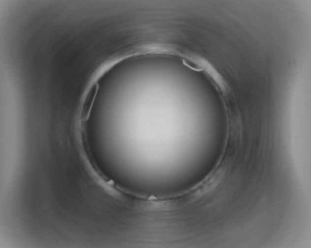 X0000113161381200909111006