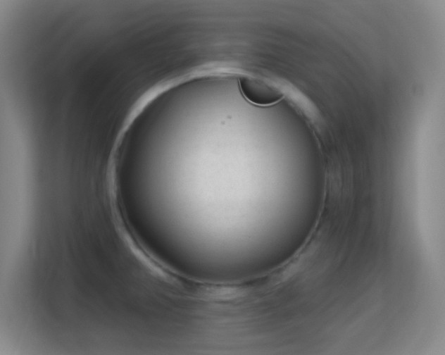 X0000113161382200909111005