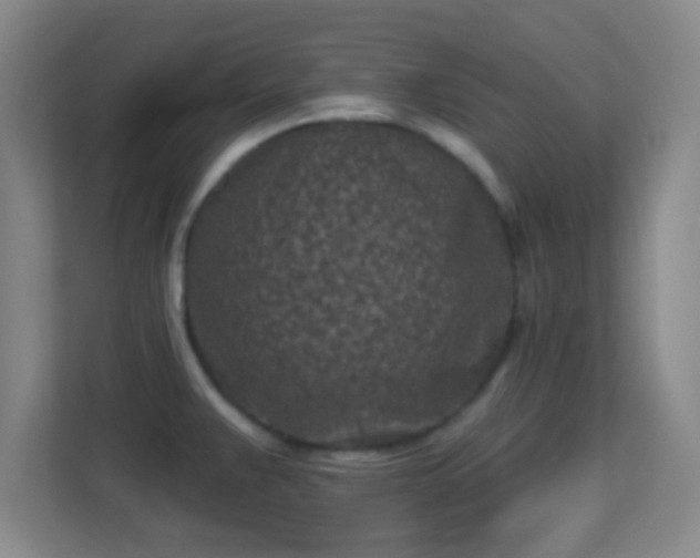 X0000113161383200909111005