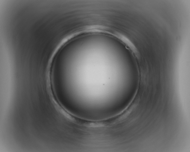 X0000113161384200909111005