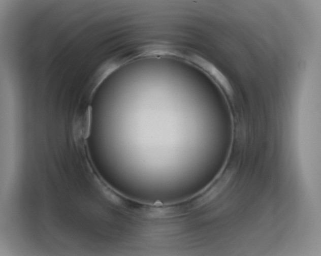 X0000113161385200909111005