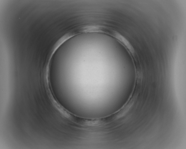 X0000113161386200909111005