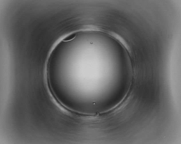 X0000113161387200909111005