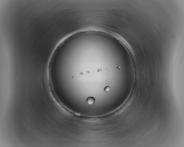 X0000113161388200909111005