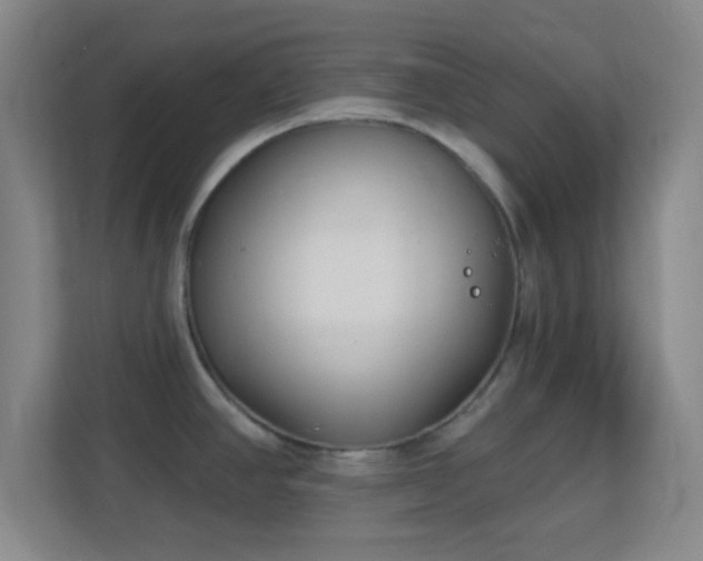 X0000113161390200909111005