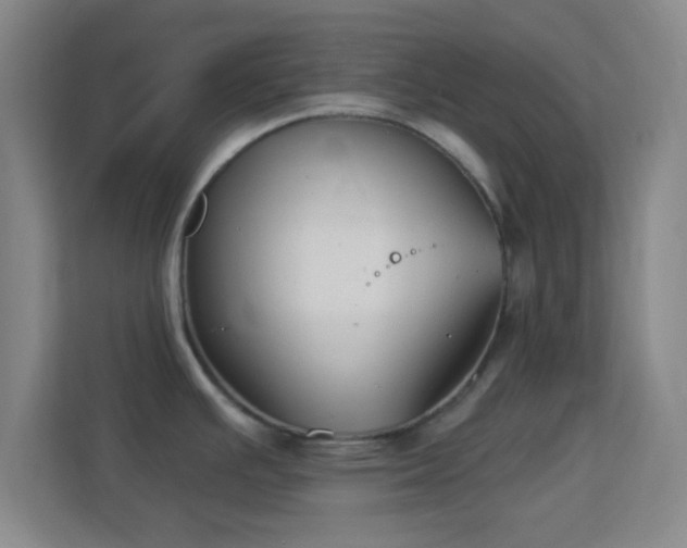 X0000113161391200909111005