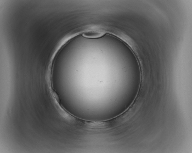 X0000113161392200909111005