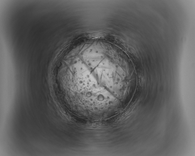 X0000113161393200909111005