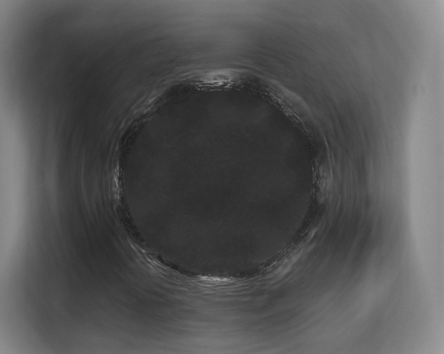 X0000113161394200909111005