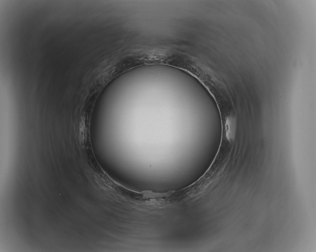 X0000113161395200909111005