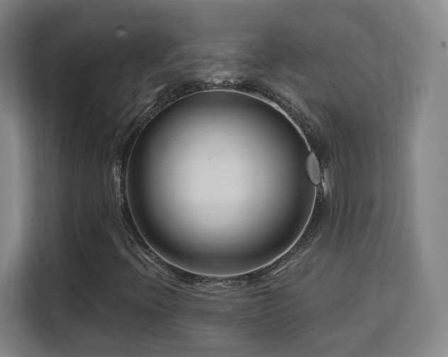 X0000113161396200909111005