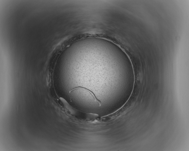 X0000113161398200909111005