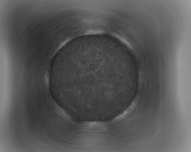 X0000113161401200909111005