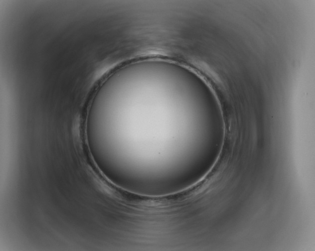 X0000113161404200909111005