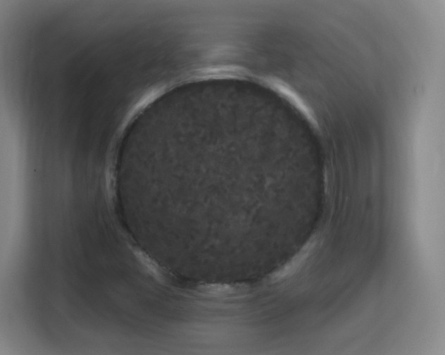 X0000113161405200909111005