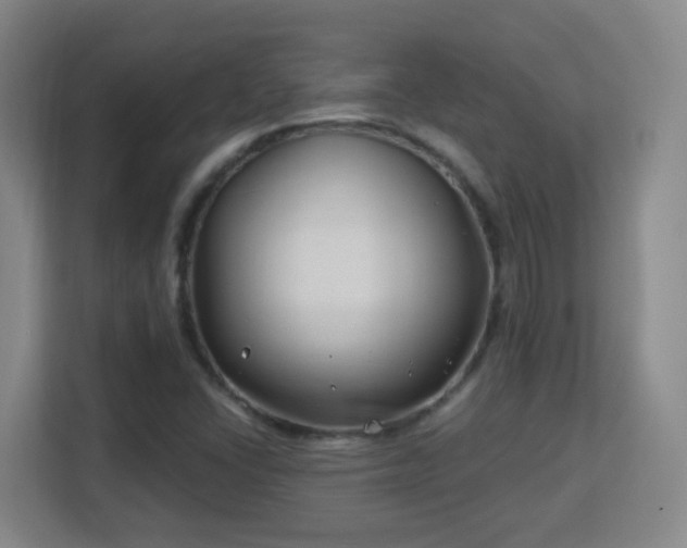 X0000113161406200909111005