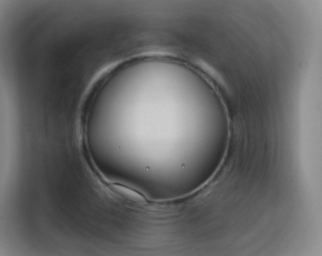 X0000113161408200909111005