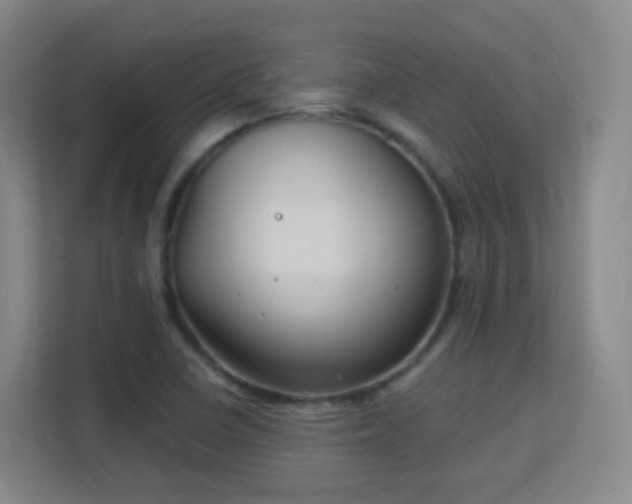 X0000113161410200909111005