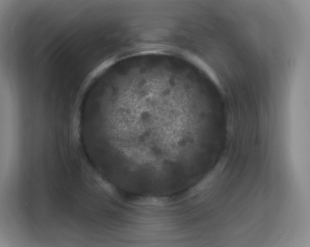 X0000113161411200909111005