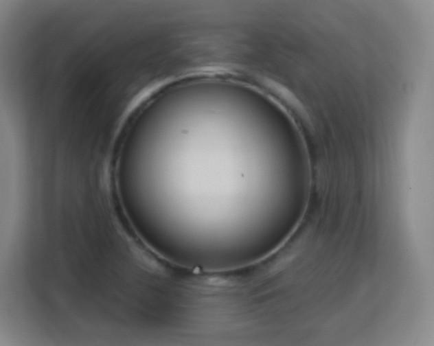 X0000113161412200909111005