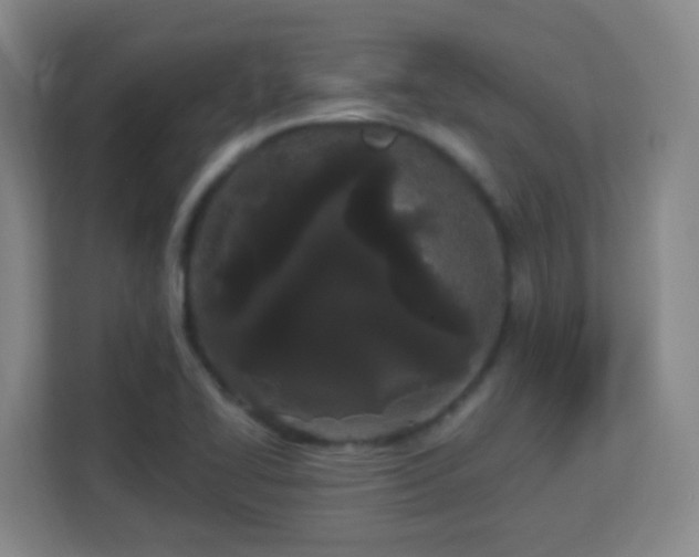 X0000113161414200909111005