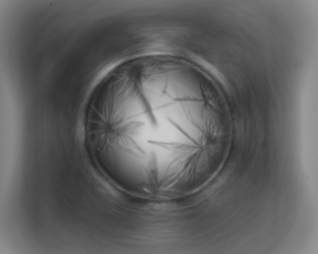 X0000113161415200909111005