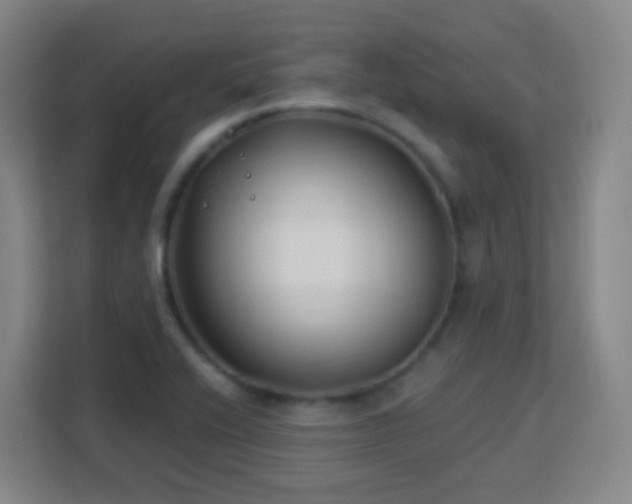 X0000113161416200909111005