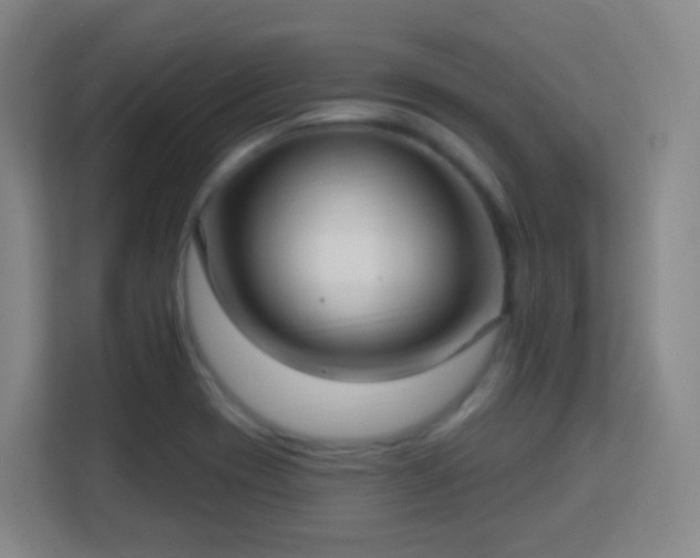 X0000113161417200909111005