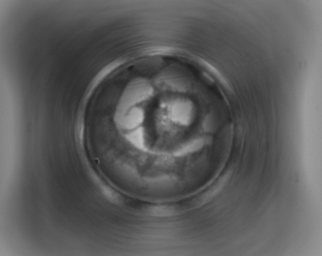 X0000113161418200909111005