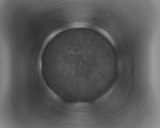 X0000113161419200909111005