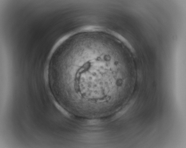 X0000113161421200909111005