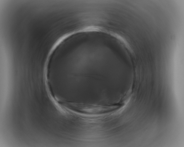 X0000113161422200909111005