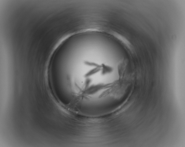 X0000113161423200909111005