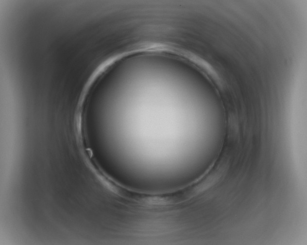 X0000113161424200909111005