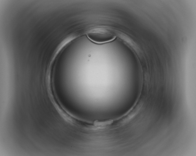 X0000113161426200909111005