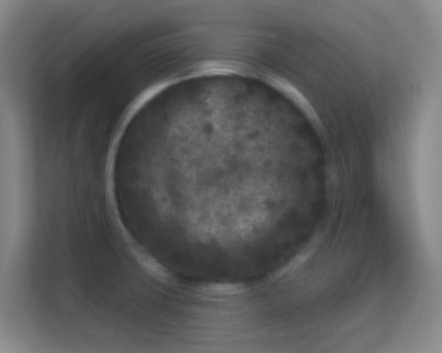 X0000113161427200909111005