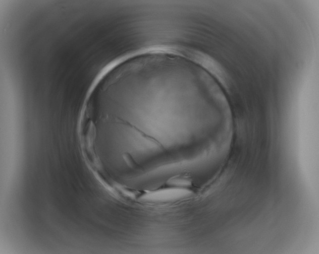 X0000113161428200909111005