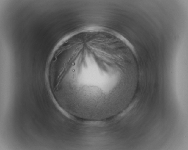 X0000113161429200909111005