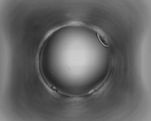 X0000113161430200909111005