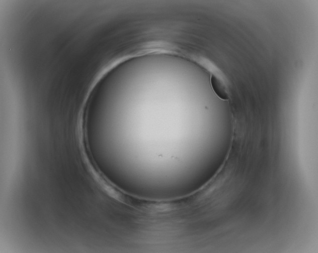 X0000113161431200909111005