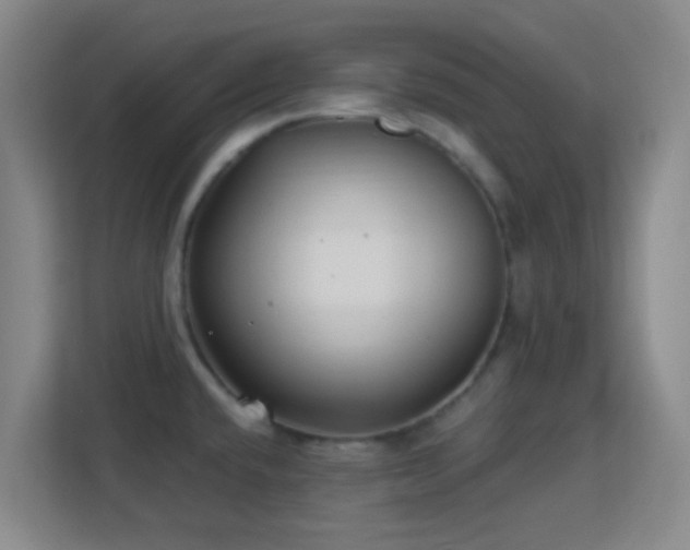 X0000113161432200909111005