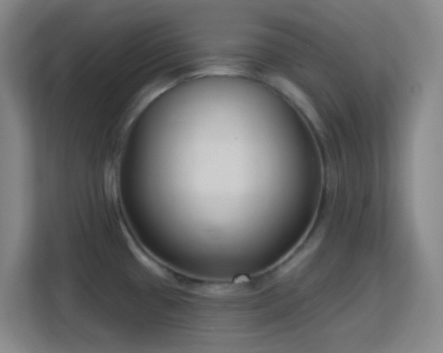 X0000113161433200909111005