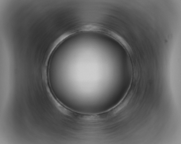 X0000113161434200909111005