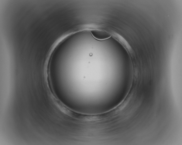 X0000113161435200909111005